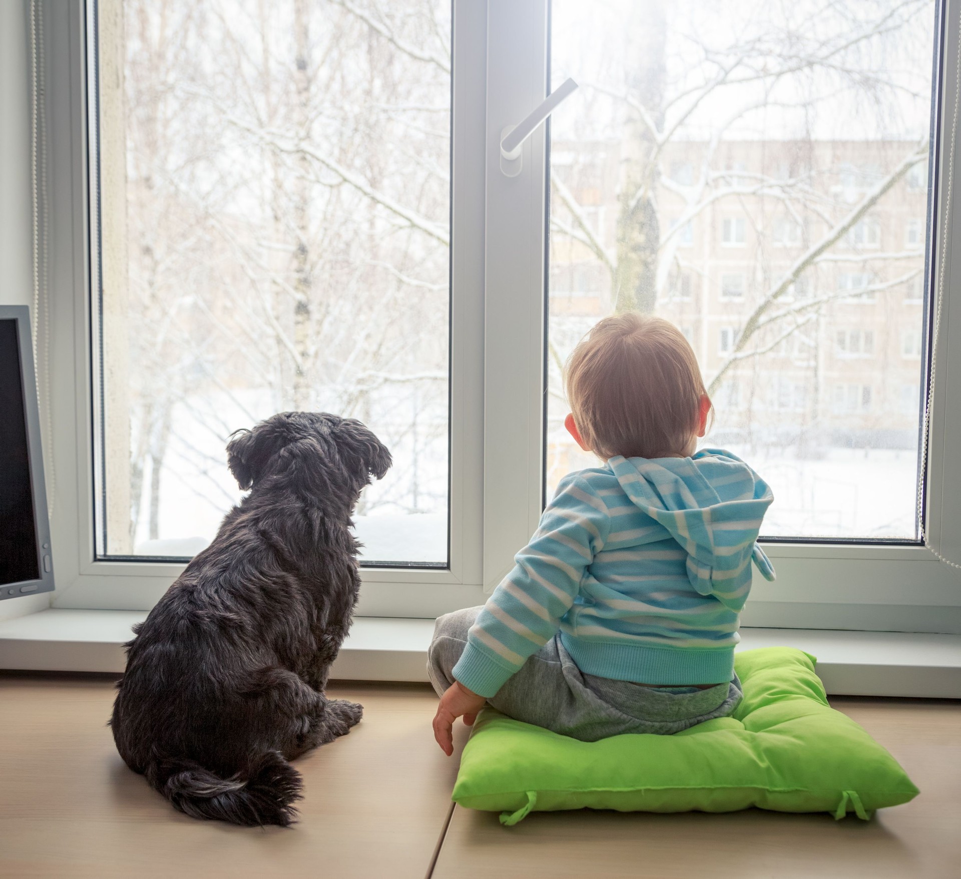 Baby with Dog Looking through a Window in Winter